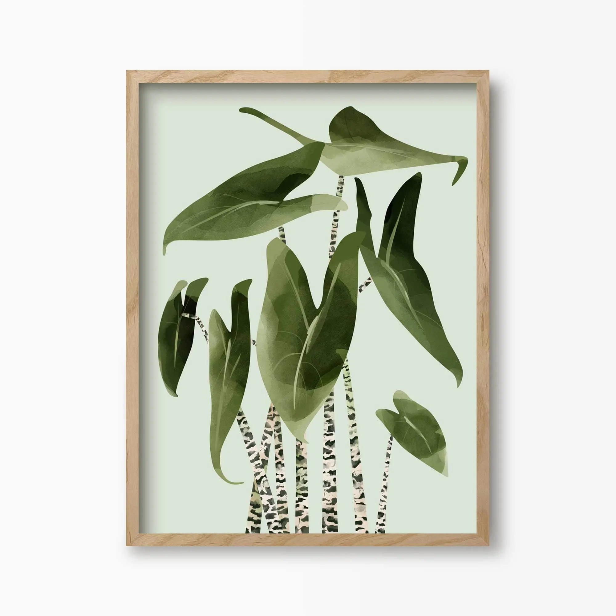 Alocasia Zebrina Botancial Art Print