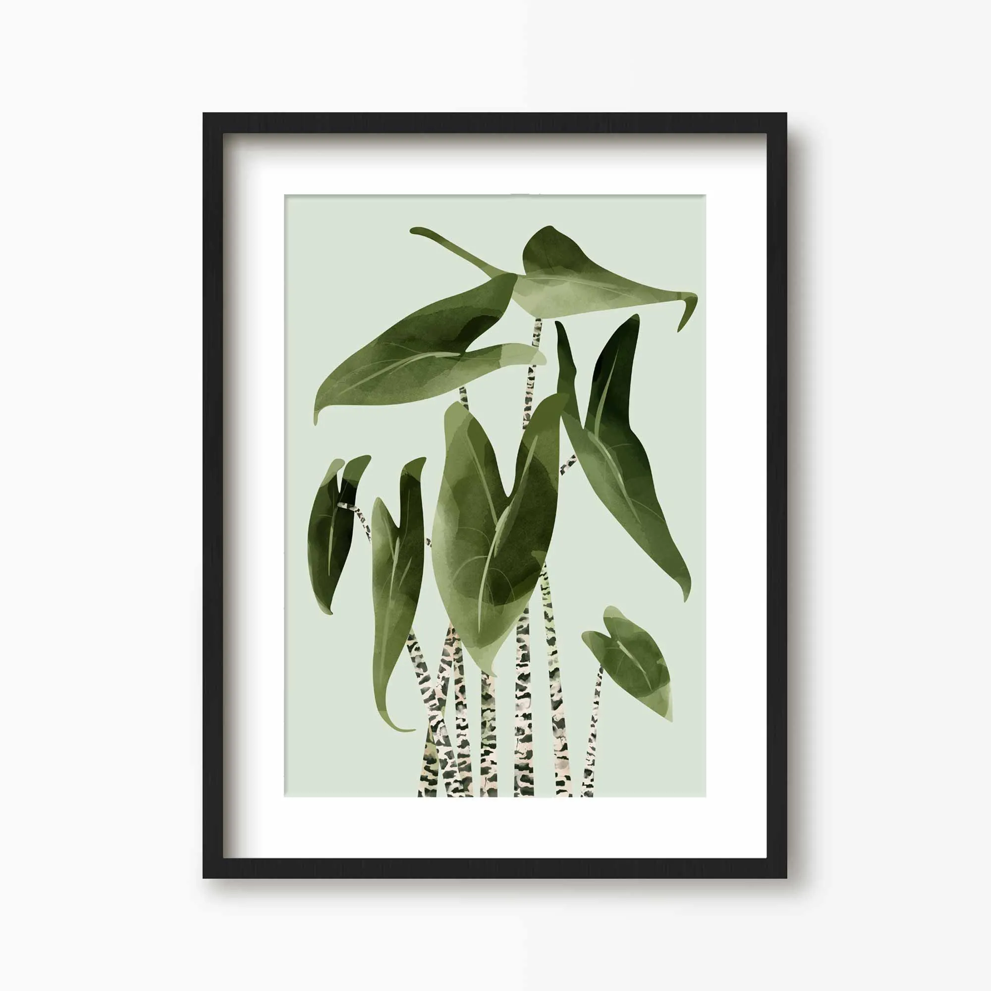 Alocasia Zebrina Botancial Art Print