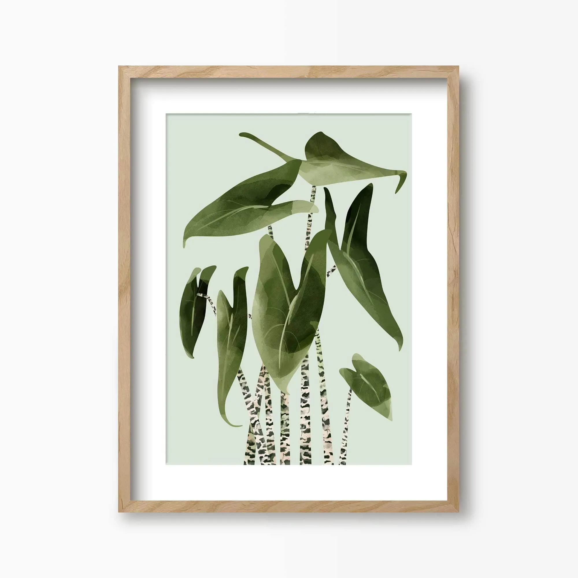 Alocasia Zebrina Botancial Art Print