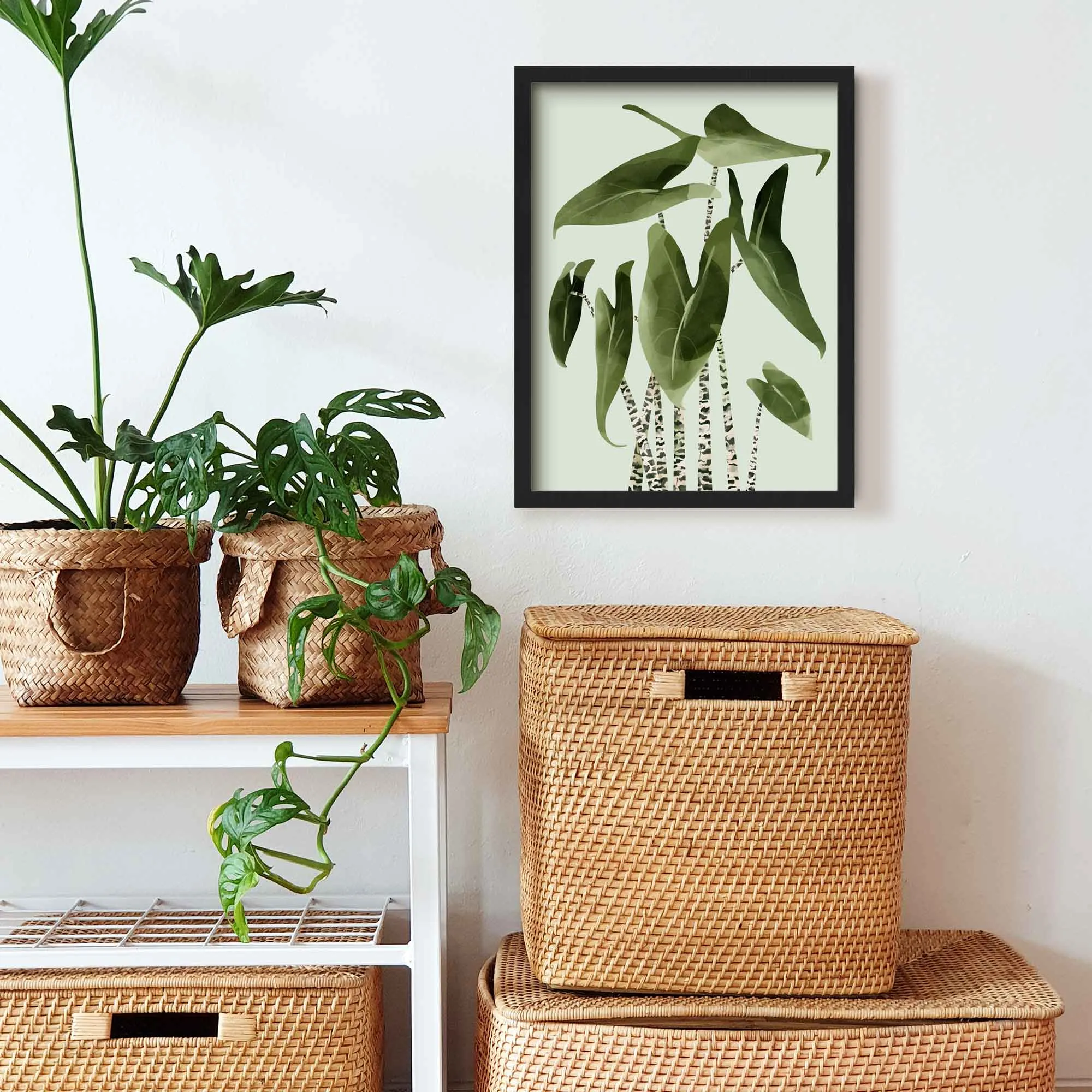 Alocasia Zebrina Botancial Art Print