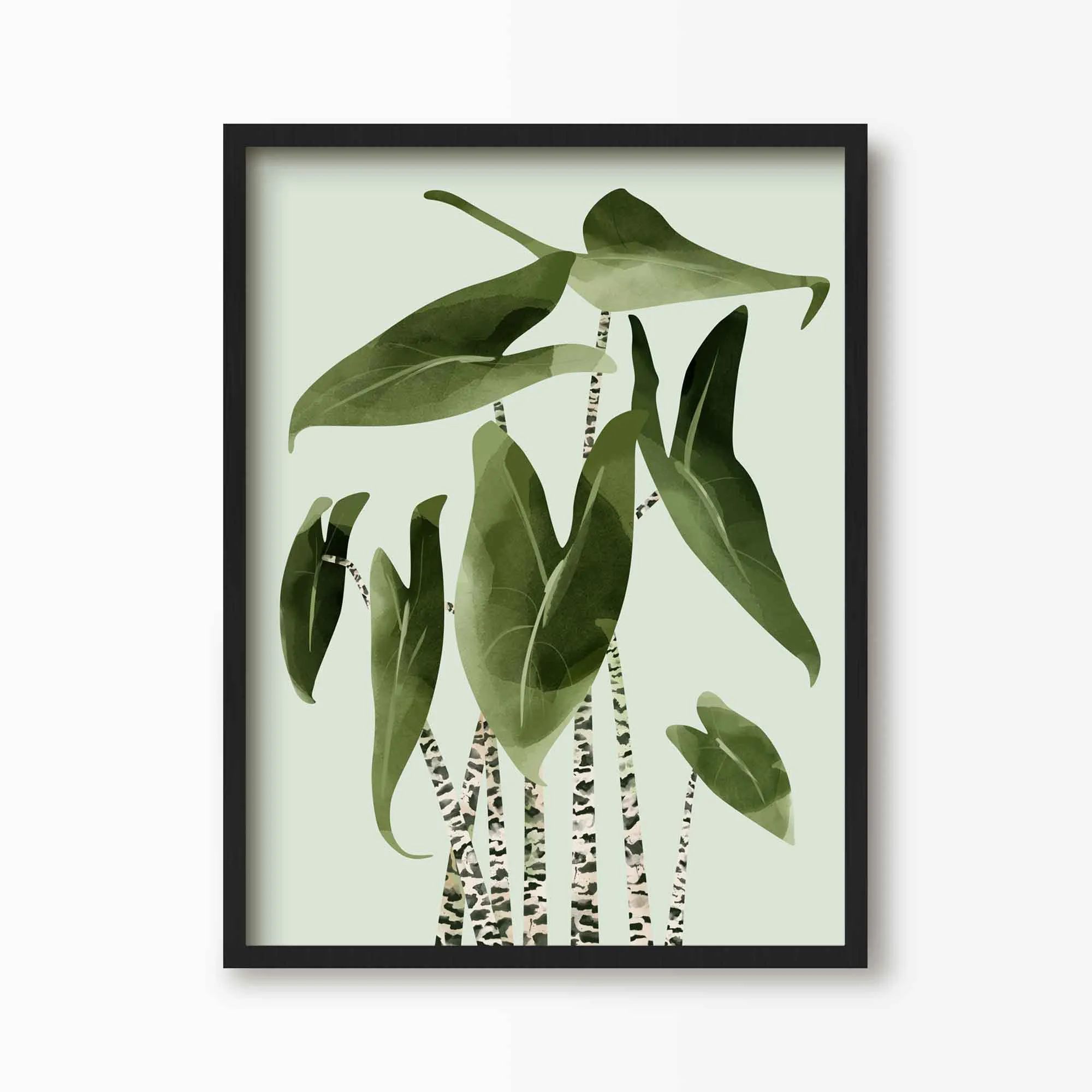 Alocasia Zebrina Botancial Art Print
