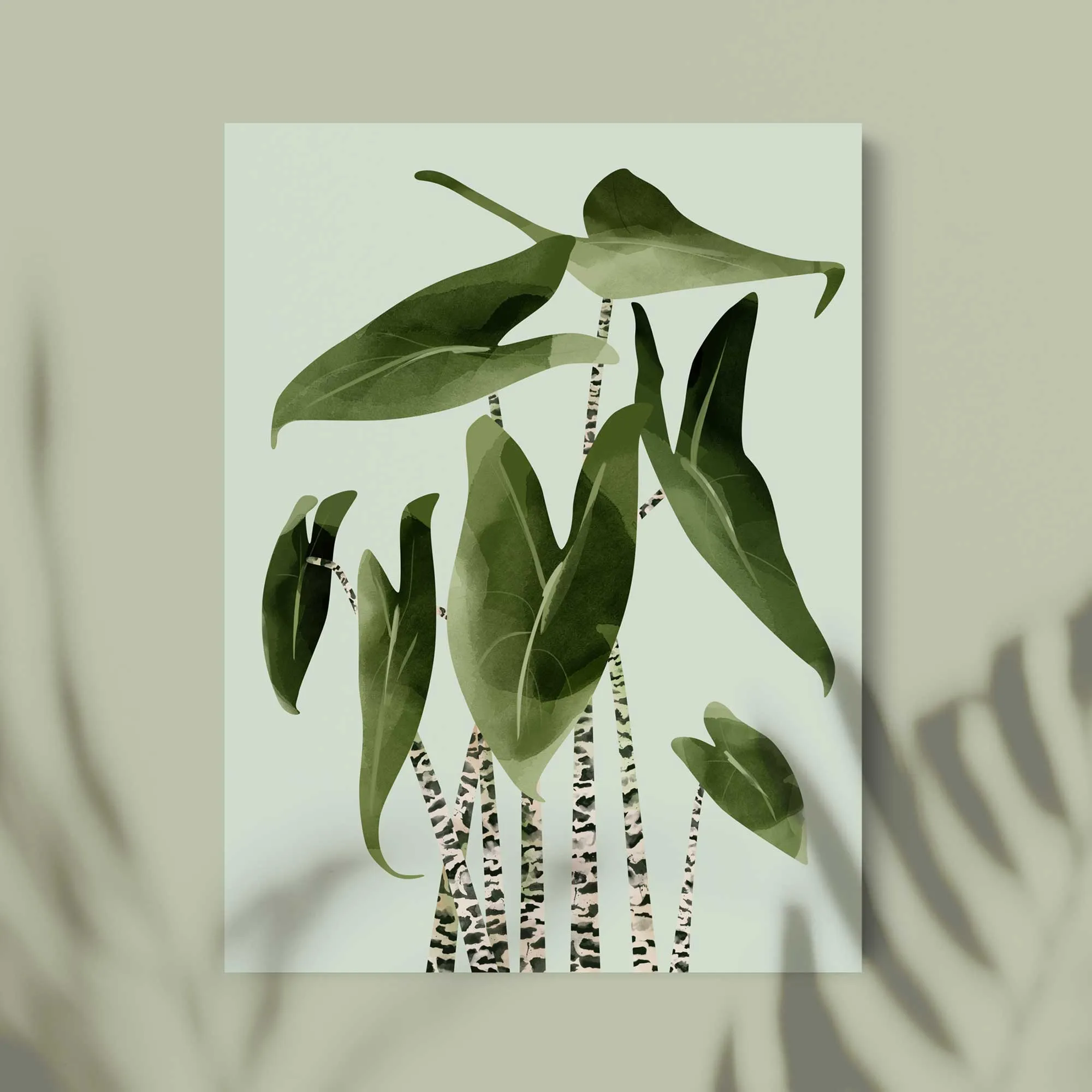 Alocasia Zebrina Botancial Art Print
