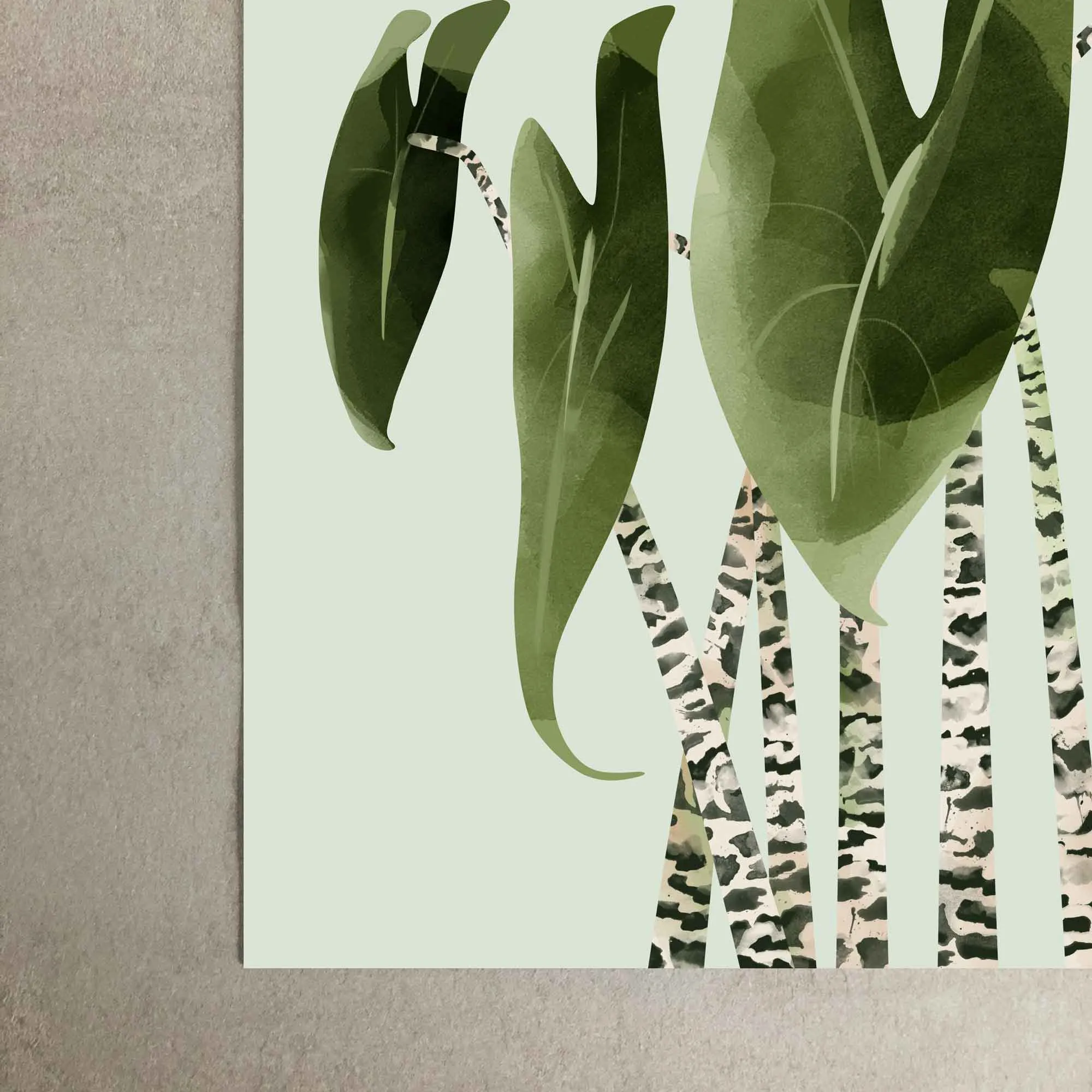 Alocasia Zebrina Botancial Art Print