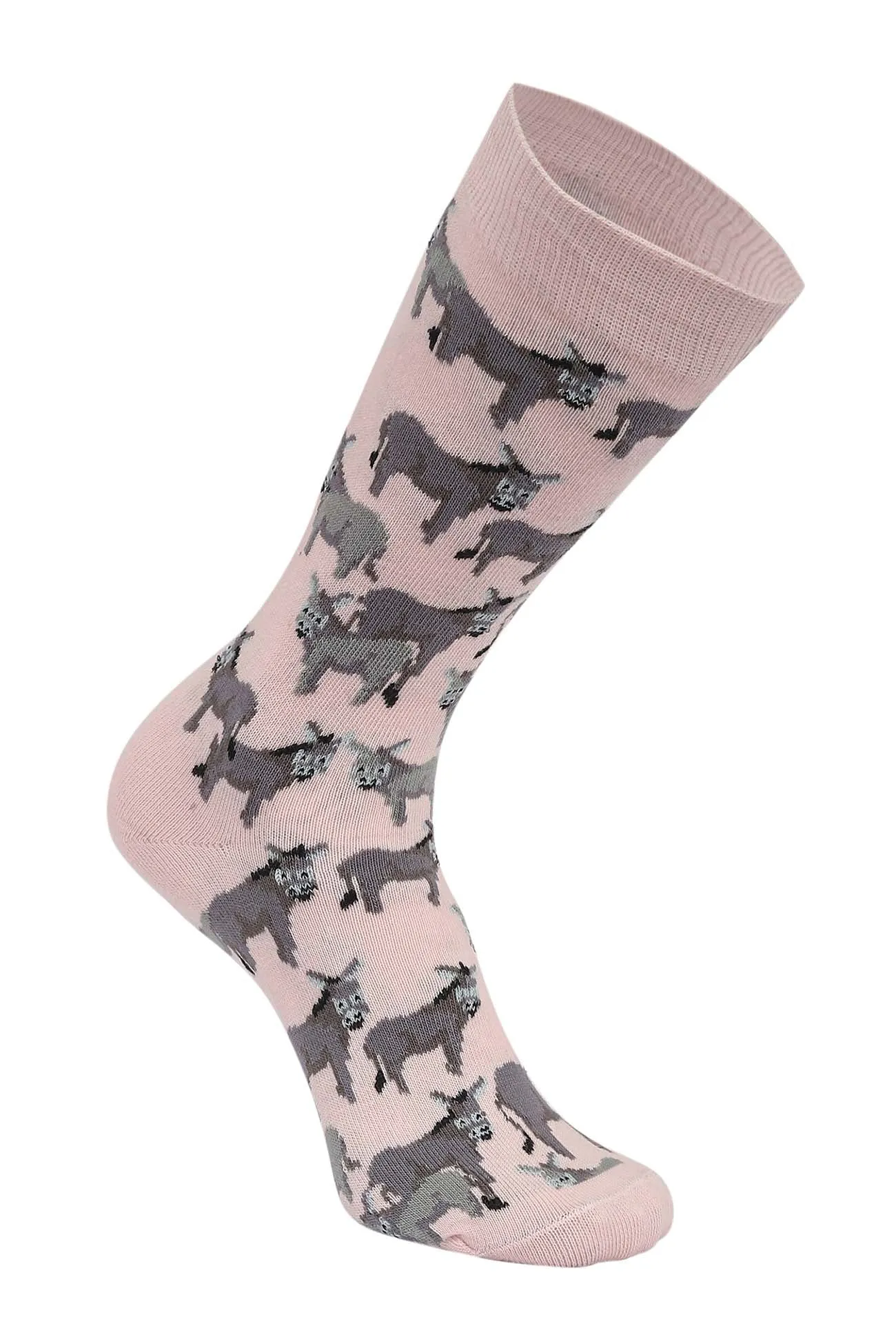 AWST Int'l Donkey Love Socks 6 pack